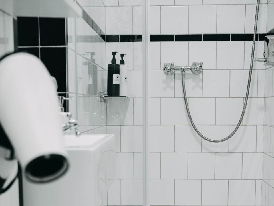 Ubytování ve Vile na Landeku - Gentleman