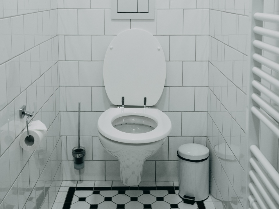 Ubytování ve Vile na Landeku - Gentleman