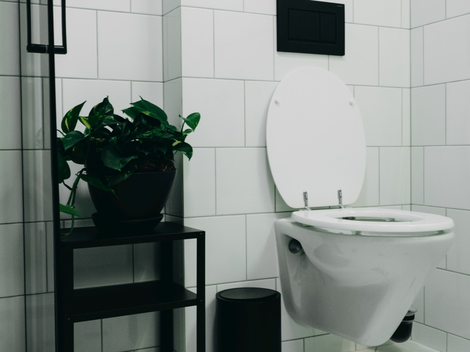 Ubytování ve Vile na Landeku - Velvet