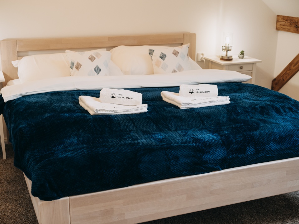 Ubytování ve Vile na Landeku - Velvet