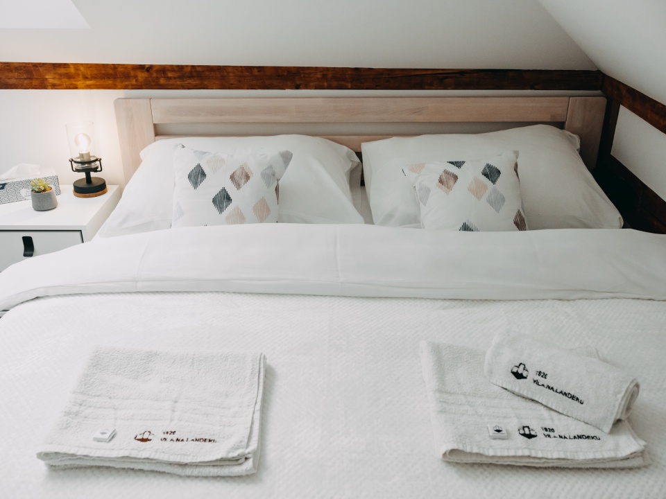 Ubytování ve Vile na Landeku - Velvet